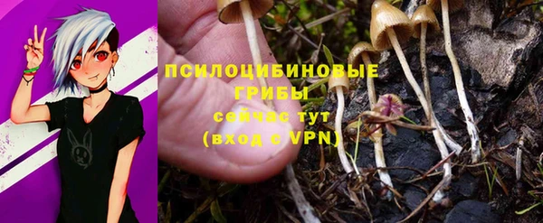 кокаин премиум Богородск