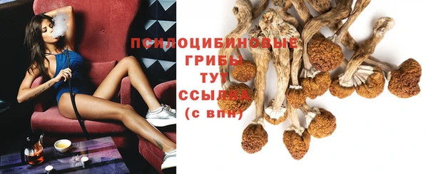 a pvp Бугульма