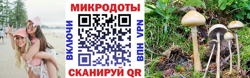 Купить закладки  Ливны  Галлюциногенные грибы Psilocybine cubensis 